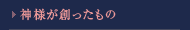 神様が創ったもの