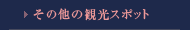 その他の観光スポット