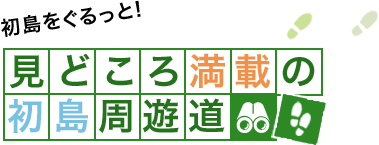 見どころ満載の初島周遊道