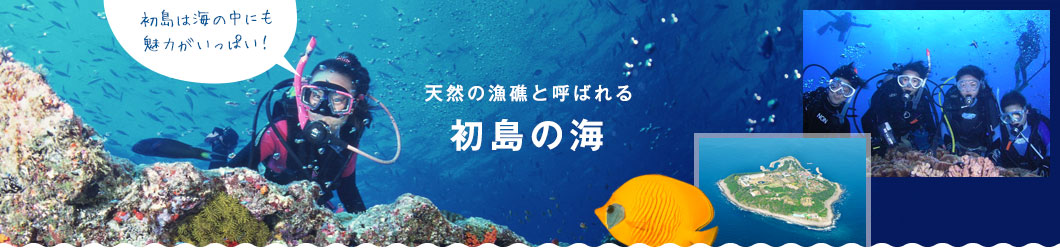 天然の漁礁と呼ばれる 初島の海