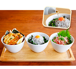 海の幸３種ちょこっと丼