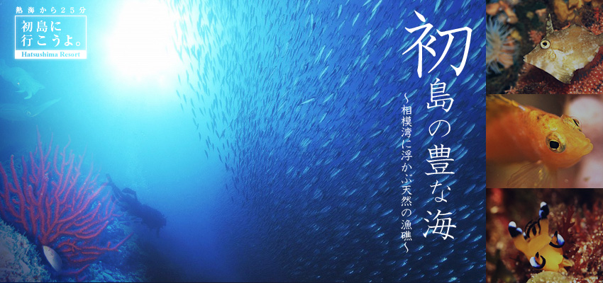 初島の豊かな海 ～相模湾に浮かぶ天然の漁礁～