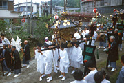 島内を練り歩く山車 